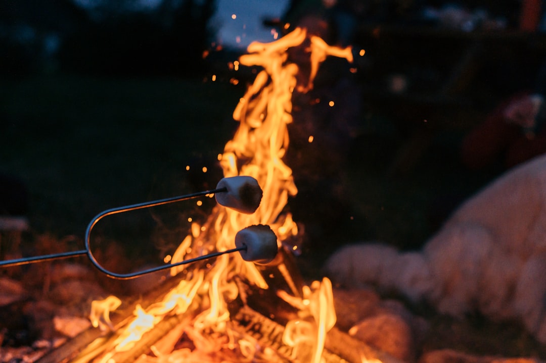 バーベキューグリル GWおすすめ